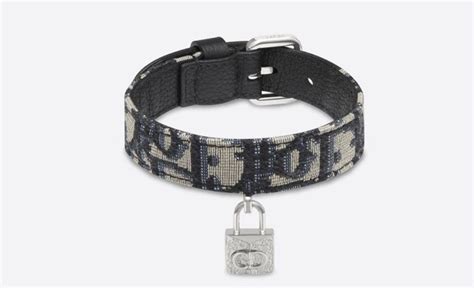 dior dog outfit|high end dog collar brands.